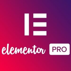 Plugin- Elementor Pro